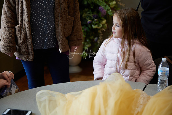 _MG_3376 1