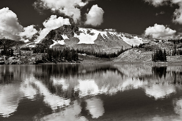 _MG_6816