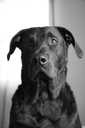 HenryBnW